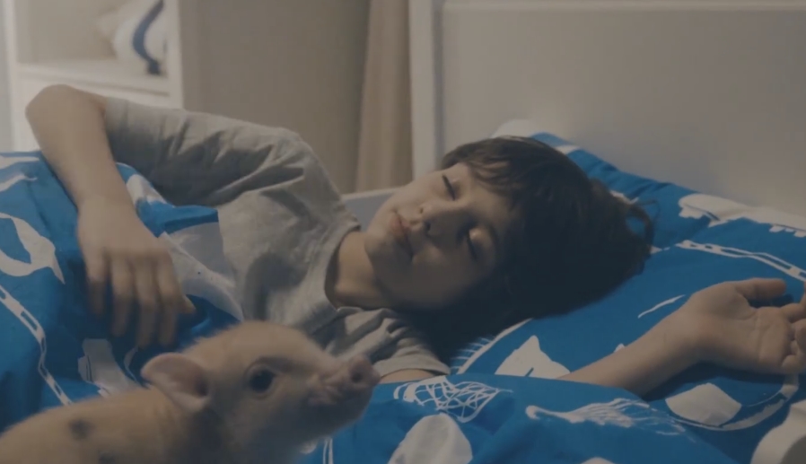 Путь домой: 30 000 000 рублей были собраны для помощи 200 детям