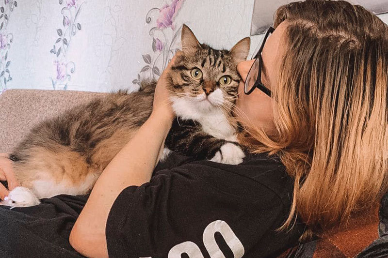 Как отправить кошку на передержку