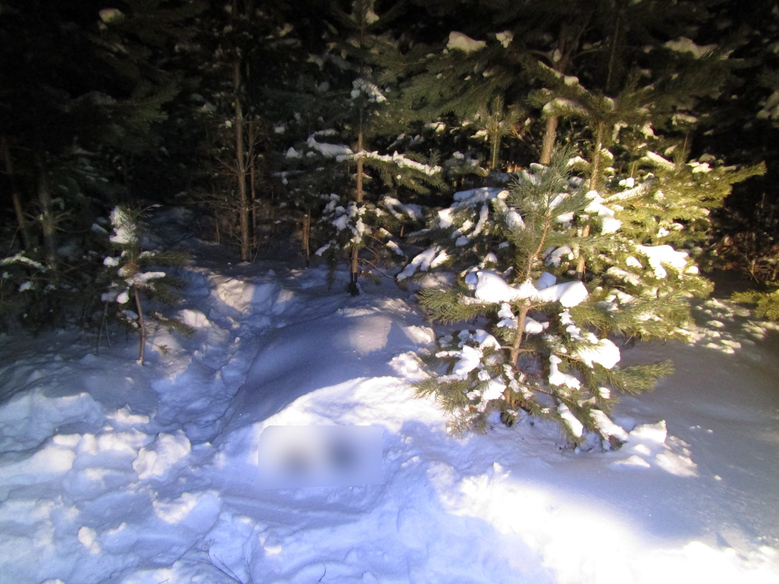 Уральца осудили за убийство бывшей супруги — матери пятерых детей 