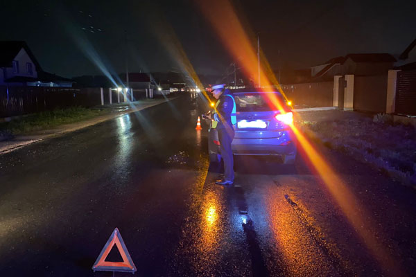 В Свердловской области в ДТП погиб 53-летний пешеход В Свердловской области в ДТП погиб 53-летний пешеход