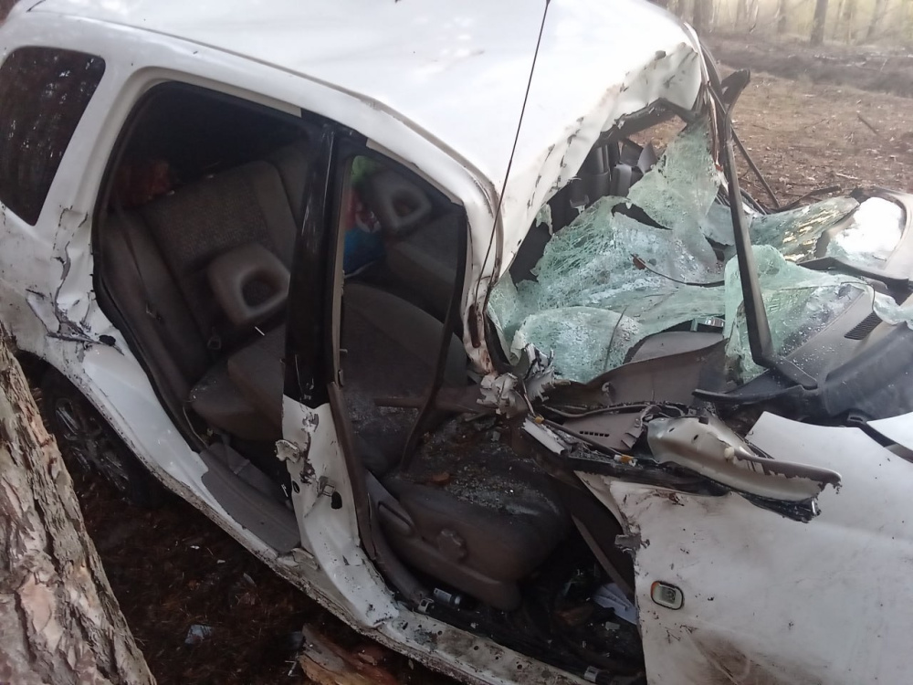 В Тюменской области «Тойота» врезалась в дерево, водитель погиб | Под Тюменью водитель погиб — машина врезалась в дерево В Тюменской области «Тойота» врезалась в дерево, водитель погиб | Под Тюменью водитель погиб — машина врезалась в дерево
