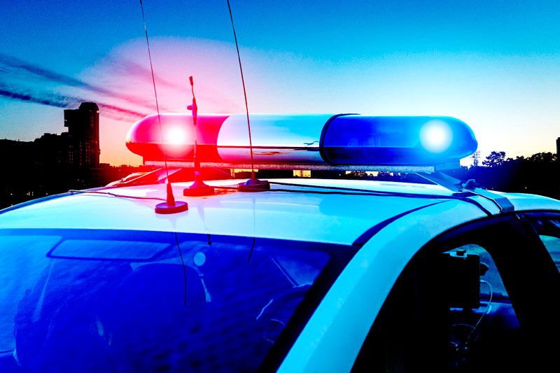 В Тюмени заметили неадекватную даму с младенцем | Тюменка пригрозила младенцу, что выкинет его в кусты В Тюмени заметили неадекватную даму с младенцем | Тюменка пригрозила младенцу, что выкинет его в кусты