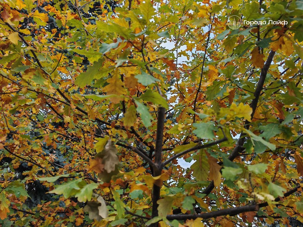 Будут ли осадки в выходные? Публикуем ответ синоптиков  | Синоптики раскрыли, ждать ли на Урале осадков в выходные 