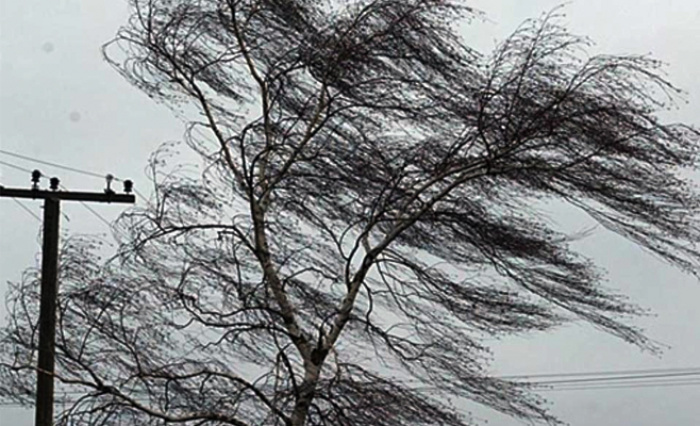 Будьте бдительны! Синоптики прогнозируют сильный ветер в Свердловской области Будьте бдительны! Синоптики прогнозируют сильный ветер в Свердловской области