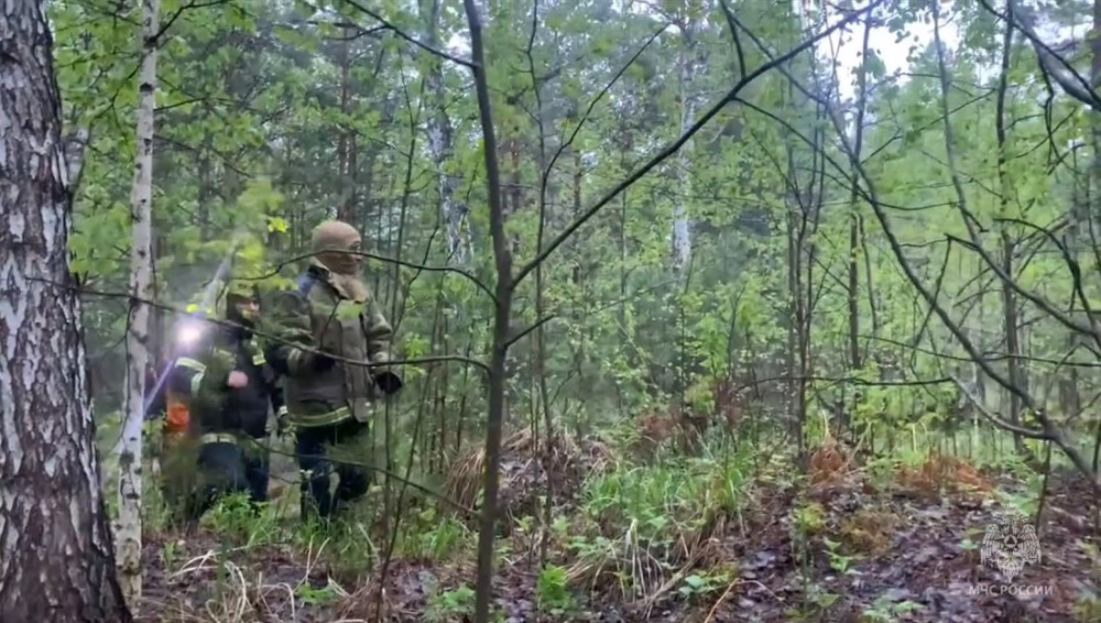 След потерян - в Свердловской области продолжаются поиски пропавших брата и сестры | На Урале продолжают искать пропавших мальчика и девочку из Тюмени
