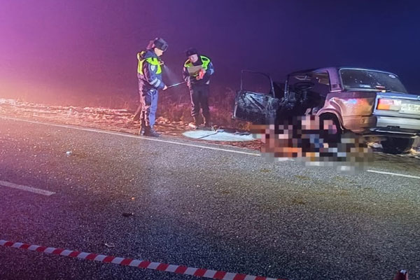 Накануне в Свердловской области из-за сильного тумана произошло смертельное ДТП